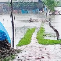 টানা বৃষ্টির পানিতে ডুবছে কয়রা গ্রাম