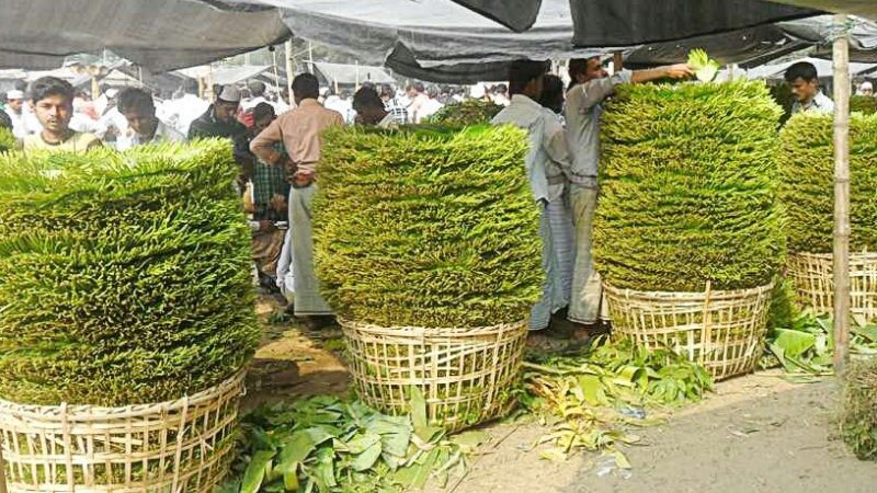 মহেশখালির পানের খিলি তারে বানায় খাওয়াইতাম’