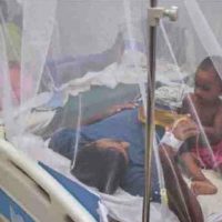 আজও ২০৪ ডেঙ্গু রোগী হাসপাতালে ভর্তি
