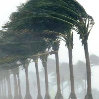 ১৯ জেলায় ঝড়ের আভাস