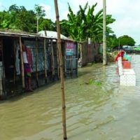 রাজবাড়ীতে কমতে শুরু করছে পদ্মার পানি