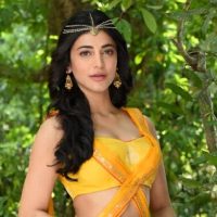 বিয়ের পরিকল্পনা নিয়ে যা জানালেন শ্রুতি হাসান