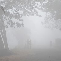 নওগাঁয় তাপমাত্রা নামলো ১০ ডিগ্রিতে
