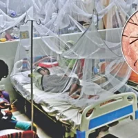 ডেঙ্গুতে আরও ১৬ জনের মৃত্যু,হাসপাতালে ভর্তি সর্রোচ্চ ২৪১৮