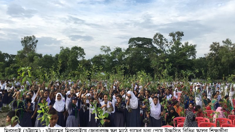 মিরসরাই উপজেলা প্রশাসনের দেড় লক্ষাধিক গাছের চারা বিতরণ