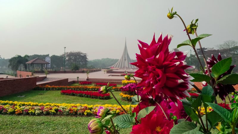 জাতীয় সৃতিসৌধে রঙবেরঙের ফুলের খুনসুটি