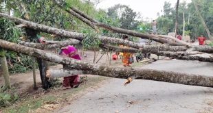 ঠাকুরগাঁওয়ে ১২ মিনিটের ঝড়ে লণ্ডভণ্ড ২০ গ্রাম, নিহত ৩ 