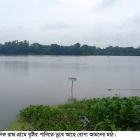 চাঁদপুরে জলাবদ্ধতায় রোপা আমনসহ আখের ব্যাপক ক্ষতি
