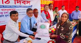 শিবচরে ব্রি দানাদার ইউরিয়া সার প্রয়োগযন্ত্রের মাঠ দিবস অনুষ্ঠিত 