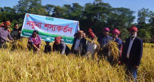 জকিগঞ্জ উপজেলা প্রশাসন নমুনা শস্যকর্তনে মাঠে