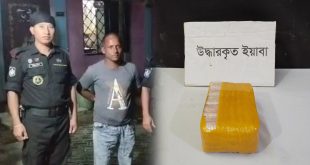 টেকনাফে ১০ হাজার ইয়াবাসহ এক মাদক কারবারি আটক