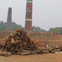 মাদারীপুরে ইটভাটায় প্রকাশ্যে পোড়ানো হচ্ছে কাঠ, বিপন্ন পরিবেশ