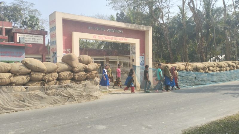 বিদ্যালয়ের অঙ্গীনার সড়ক দখল করে ধানের ব্যবসা জীবন ঝুঁকিতে শিক্ষার্থী সহ পথচারী 