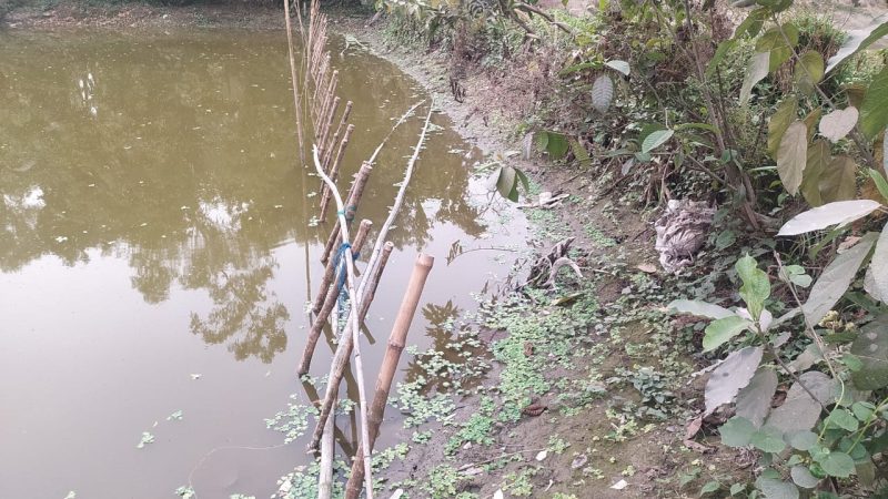 সলঙ্গায় বিএনপি পরিচয়ে জোরপূর্বক পুকুরের যায়গা দখলের অভিযোগ