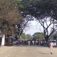 আওয়ামী লীগ নিষিদ্ধের দাবিতে কুষ্টিয়া-খুলনা মহাসড়ক অবরোধ করে শিক্ষার্থীদের বিক্ষোভ