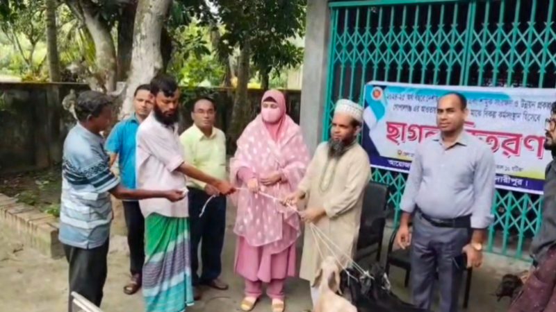 মাদারীপুরে সুফলভোগীদের মাঝে  বিকল্প কর্মসংস্থান হিসাবে ছাগল বিতরণ