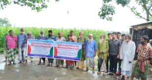পাবনার বেড়া উপজেলায় সরকারি ভিপি সম্পত্তির ভুয়া দলিলের বিরুদ্ধে মানববন্ধন