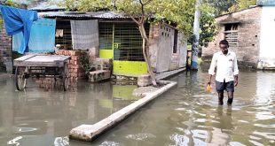 টানা বৃষ্টিতে সাতক্ষীরা নিন্ম অঞ্চল প্লাবিত