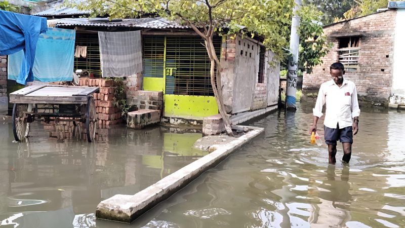 টানা বৃষ্টিতে সাতক্ষীরা নিন্ম অঞ্চল প্লাবিত