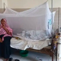 মাদারীপুরে ডেঙ্গু জ্বরে আক্রান্ত রোগীর সংখ্যা বেড়েই চলেছে