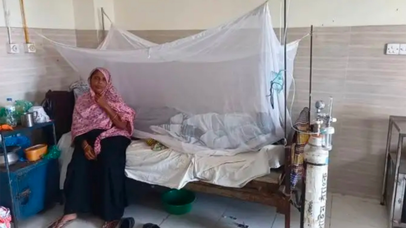 মাদারীপুরে ডেঙ্গু জ্বরে আক্রান্ত রোগীর সংখ্যা বেড়েই চলেছে
