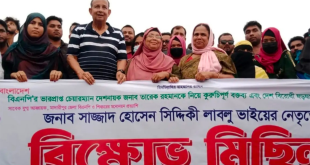 দেশ বিরোধী ষড়যন্ত্রের প্রতিবাদে সাজ্জাদ হোসেন সিদ্দিকী লাবলু’র নেতৃত্বে শিবচরে বিক্ষোভ মিছিল 