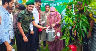 মাদারীপুরের কালকিনি উপজেলা আনসার ও ভিডিপির উদ্যোগে বৃক্ষরোপণ অভিযান