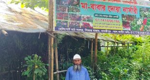 মাদারীপুরের শিবচরে বৃক্ষপ্রেমীদের চাহিদা মেটাচ্ছে মা-বাবার দোয়া নার্সারী