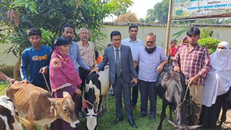 শিবচরে হত দরিদ্রদের মধ্যে বিনামূল্যে গাভী বিতরন ও গাভী পালন প্রশিক্ষন