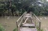 রাঙ্গাবালীতে মরণ ফাদে পরিণত ভাঙা কাঠের সাঁকো দুর্ভোগে কোমলমতি শিক্ষার্থীসহ দুই পাড়ের কয়েক হাজার মানুষ।