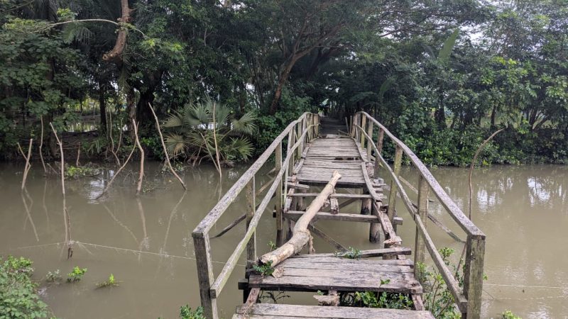 রাঙ্গাবালীতে মরণ ফাদে পরিণত ভাঙা কাঠের সাঁকো দুর্ভোগে কোমলমতি শিক্ষার্থীসহ দুই পাড়ের কয়েক হাজার মানুষ।