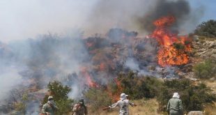 ৭ দিন ধরে দাবানলে পুড়ছে ইরান