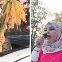 মাদারীপুরে দুটি আসনে মনোনয়ন পেতে মাঠে দুই সাবেক সংসদ সদস্য নারী নেত্রী নাভিলা চৌধুরী ও হেলেন জেরীন খান