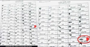 নমুনায় দেখানো হলেও মূল ব্যালটে থাকবে না নৌকা প্রতীক: ইসি