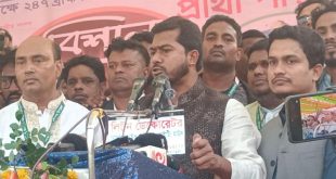 হাসিনা আমাকেও আসন ও টাকা অফার করেছিল: নুর